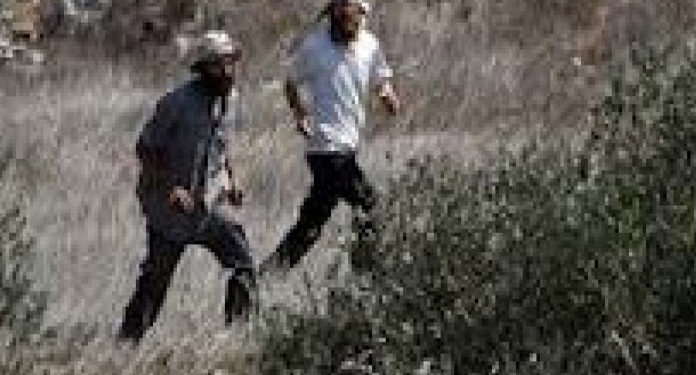 شرپسند صیہونی آبادکاروں کے فلسطینی آبادیوں پر حملے جاری