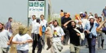 صیہونی آبادکاروں نے فلسطینیوں کو انکی زمینوں سے بے دخل کردیا
