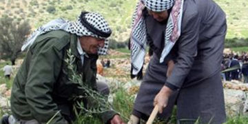 غزہ میں کاشتکاروں کیلئے ایک ملین ڈالر امدادکااعلان