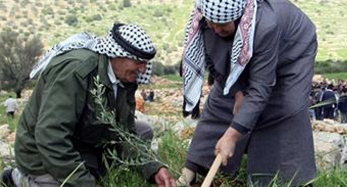 غزہ میں کاشتکاروں کیلئے ایک ملین ڈالر امدادکااعلان