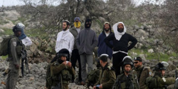 صیہونی آباداکاروں نے فلسطینی باغ اجاڑکر زرعی اراضی پر قبضہ کرلیا