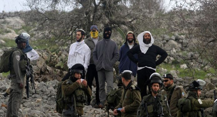 صیہونی آباداکاروں نے فلسطینی باغ اجاڑکر زرعی اراضی پر قبضہ کرلیا