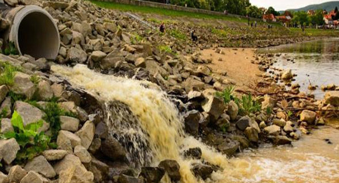 صیہونی آبادکاروں نے فلسطینیوں کاباغ تباہ کردیا