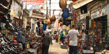 صیہونی فوج نے فلسطینی کا 15 ایکڑ کا زیتون کا باغ ہموار کردیا