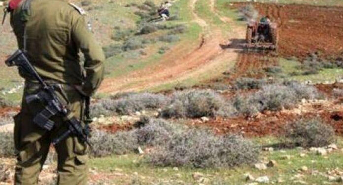 صیہونی فوج نے فلسطینی کا 15 ایکڑ کا زیتون کا باغ ہموار کردیا