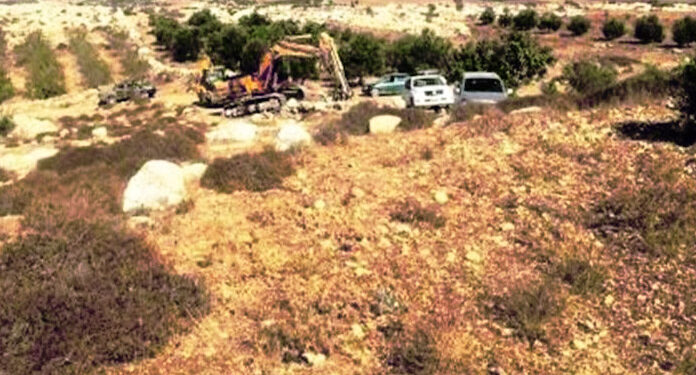 صیہونی فوج نے فلسطینی کی ساڑھے تین ایکڑ زرعی زمین ضبط کرلی