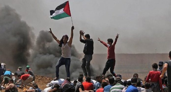 غزہ پر اسرائیلی محاصرہ انسانیت کےخلاف جرم سنگین جرم ہے، نارویجین تنظیمیں