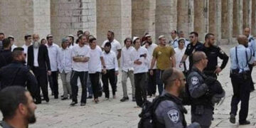 شرپسند صہیونی آبادکاروں کے قبلہ اول پر دھاوے، بے حرمتی کا سلسلہ جاری