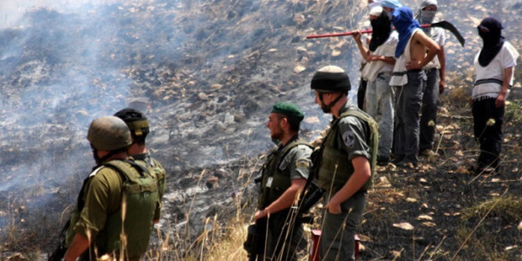 صہیونی آبادکاروں کے فلسطینی آبادی پرحملے، کھیت نذرآتش کردیئے