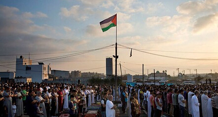 کورونا وائرس: غزہ میں صورتحال بہتر ہورہی ہے، اشرف القدرہ