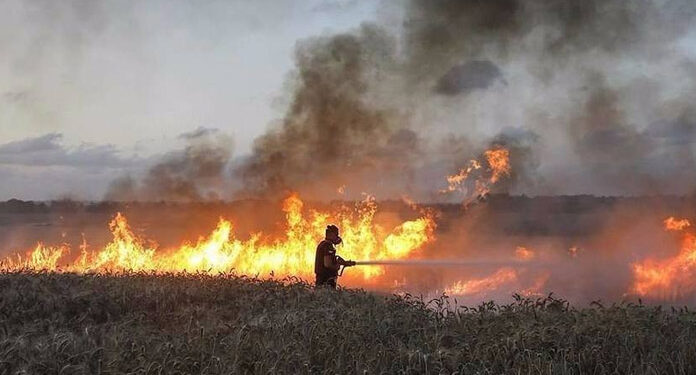 صہیونی آبادکاروں نے فلسطینیوں کی فصلیں اور باغات جلاکر راکھ کردیں