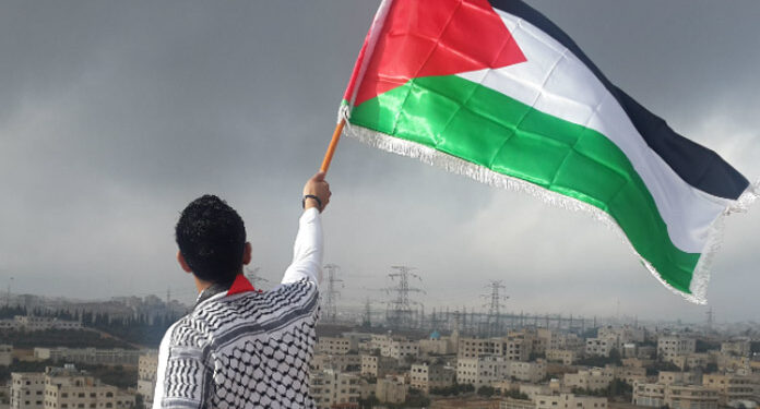 فلسطین سے متعلق وزیر خارجہ کے مبہم بیانات سے شکوک و شبہات پیدا ہو رہے ہیں