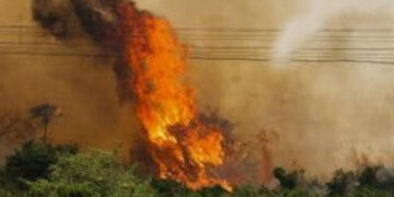 صیہونی فوج نے غرب اردن میں فصلوں کو آگ لگادی