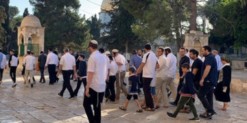 شرپسند صیہونیوں کامسجداقصیٰ پر دھاوؤں کا سلسلہ پھر شروع