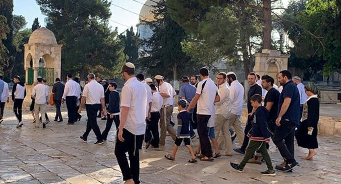 شرپسند صیہونیوں کامسجداقصیٰ پر دھاوؤں کا سلسلہ پھر شروع