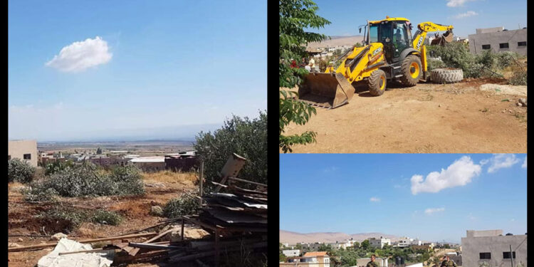 صہیونی فوج نے فلسطینیوں کے زیتون کے درختوں کو اکھاڑڈالا