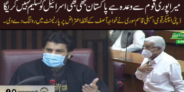 فلسطین کاز پر ہم عرب ممالک کی پیروی نہیں کر سکتے، خواجہ آصف