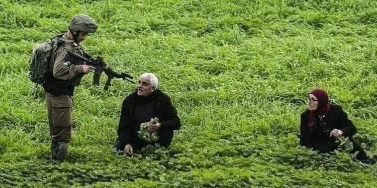 صہیونی فوجی فلسطینی بزرگ کو حراساں کرنے میں مصروف