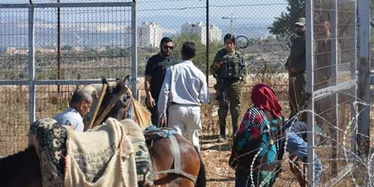 فلسطینی کاشتکاروں کو اپنی زمینوں پر جانے پر مسلسل تین ماہ سے پابندی عائد