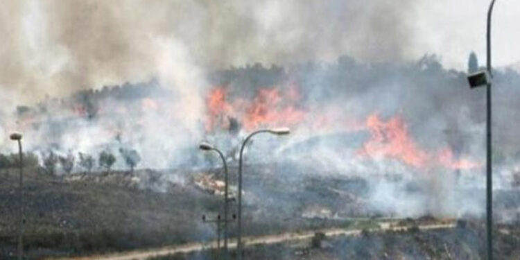 صیہونی آبادکاروں نے فلسطینیوں کے کھیتوں کو آگ لگادی
