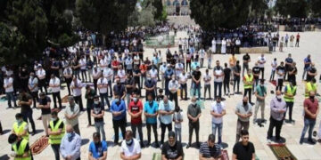 بزرگ اور بیمار افراد گھروں میں نماز جمعہ ادا کریں، امام مسجد اقصیٰ