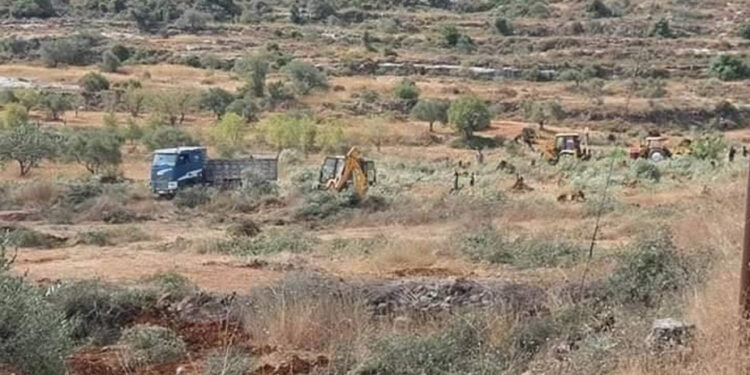 صہیونی فوج نے فلسطینیوں کے باغ اجاڑ دیئے