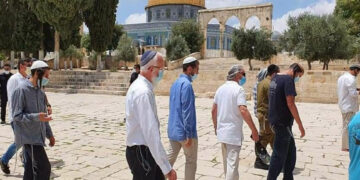 شرپسند یہودی جنونیوں کا مسجد اقصیٰ پردھاوا، بے حرمتی کا سلسلہ جاری