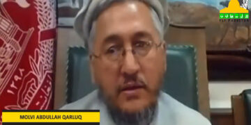 مسئلہ فلسطین کا واحد حل اسلامی ممالک میں اتحاد ہے، مولوی عبداللہ قرلق