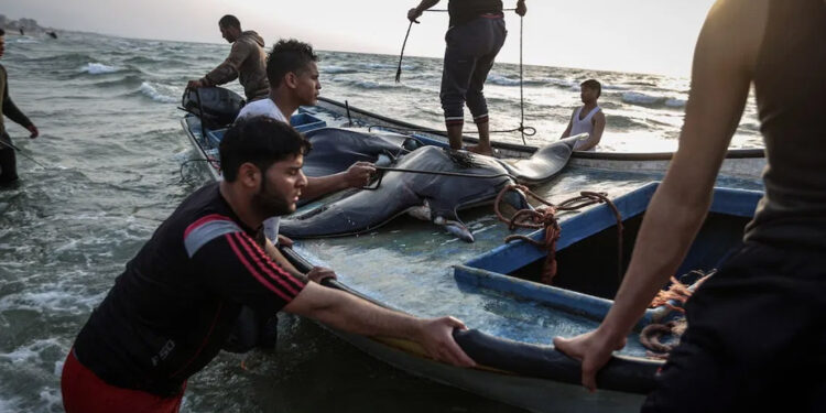 اسرائیلی نیوی کی فلسطینی ماہی گیروں پر فائرنگ