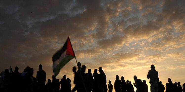 حبیبی آئی ایم سوری