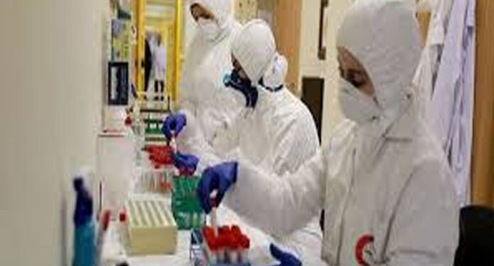 غزہ میں عالمی وباء کورونا وائرس کے 35 نئے مریض سامنے آگئے