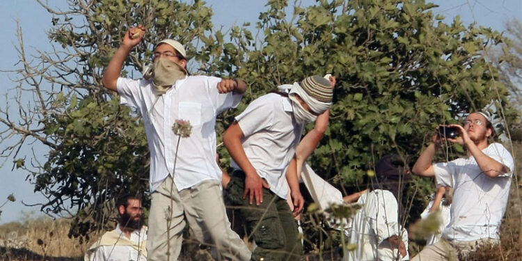 صیہونی آبادکاروں کا فلسطینی خاندان پر حملہ، بچہ زخمی