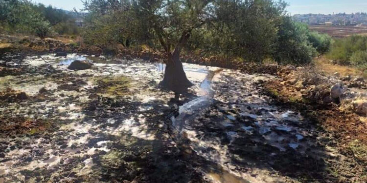 صیہونی آبادکاروں نے فلسطینیوں کے کھیتوں میں سیوریج کا پانی چھوڑدیا