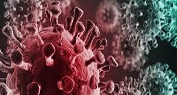 صہیونی ریاست میں کورونا وائرس کے ہاتھوں مزید 4مریض جان کی بازی ہار گئے  