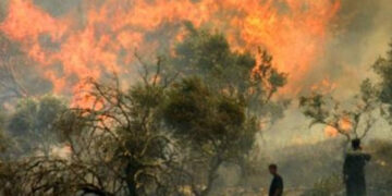 صیہونی آبادکاروں نے فلسطینی کا باغ جلا ڈالا