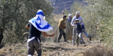 صیہونی آبادکاروں کا فلسطینی گلہ بانوں پر حملہ، متعدد زخمی