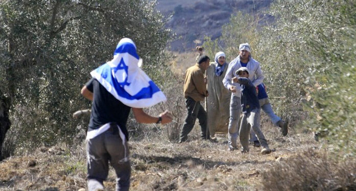 صیہونی آبادکاروں کا فلسطینی گلہ بانوں پر حملہ، متعدد زخمی
