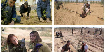 ہزاروں فلسطینی درختوں کو تباہ کرنے کے بعد اسرائیل میں درختوں کا دن