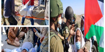 قابض فوج نے ایک اور بزرگ فلسطینی کو زخمی کردیا