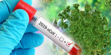 غزہ میں کورونا وائرس سے اب تک 520 افراد جاں بحق