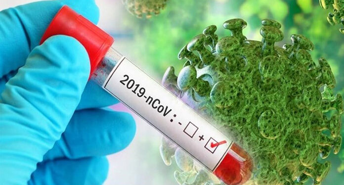 غزہ میں کورونا وائرس سے اب تک 520 افراد جاں بحق