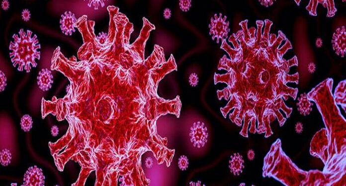 غزہ میں کورو نا وائرس کے 403 نئے کیسز