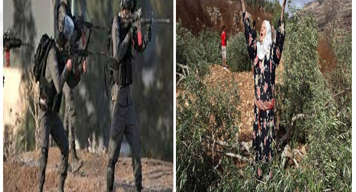 صہیونی فوج کی فائرنگ سے 50 سالہ فلسطینی شہری زخمی