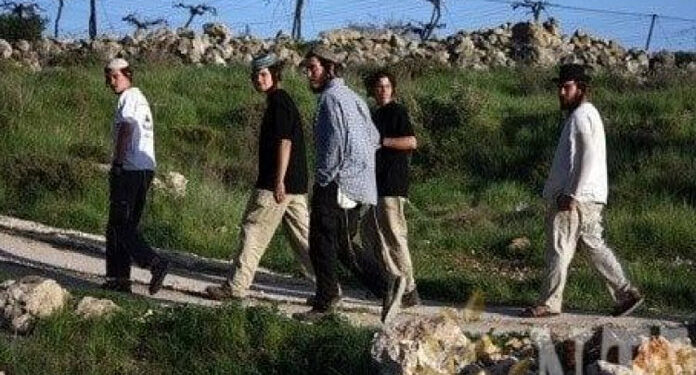 Zionist settlers-Palestinian-attack-