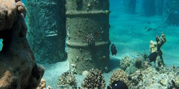 red sea-israel-UAE-oil pipeline-coral reefs