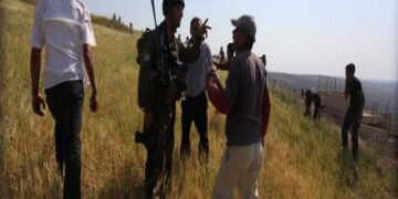 صہیونی آباد کاروں کا فلسطینی علاقے پر دھاوا  