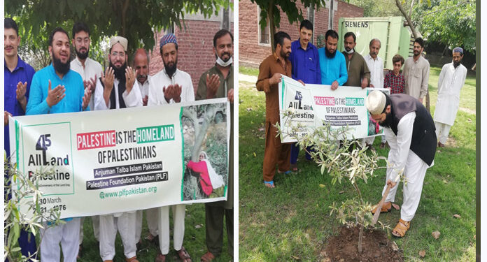 فلسطینیوں سے اظہار یکجہتی، لاہور میں یوم الارض فلسطین پر شجر کاری