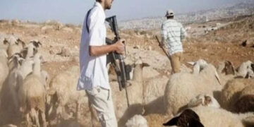 Zionist-army-herd-Palestinian-shepherds