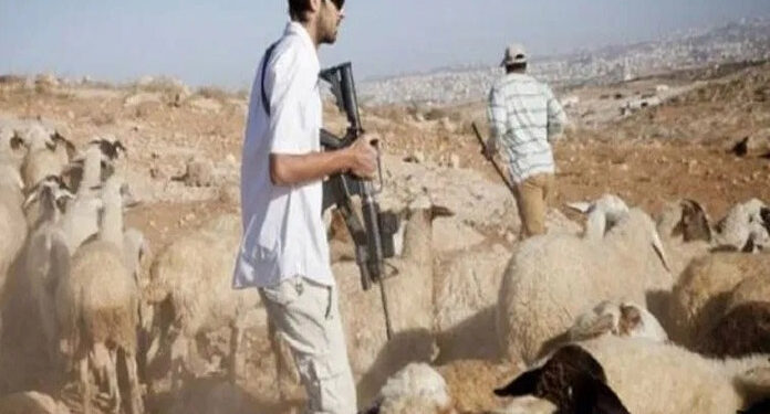 Zionist-army-herd-Palestinian-shepherds