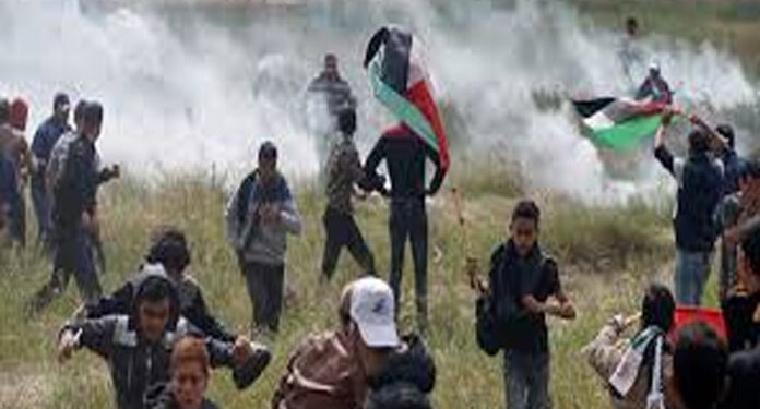 Occupied-Palestine-Zionist-army-detained-Palestinians